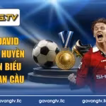 tiểu sử David Beckham